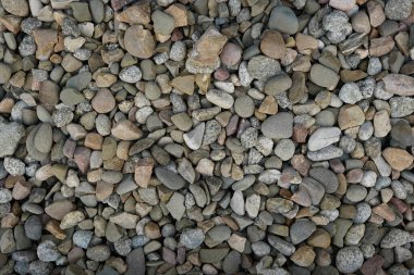 Deniz kıyısı çakıl taşları dokusunun işlenmiş kolajı. Pankart, arkaplan ya da 3B haritalama için renkli yuvarlak taşlar