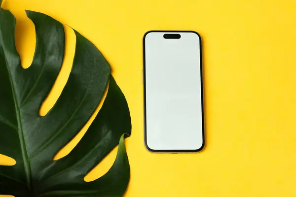Sarı arkaplanda beyaz beyaz ekranlı sahte telefon, canavar yaprağı, reklam için düzen, metin için kopyalama alanı
