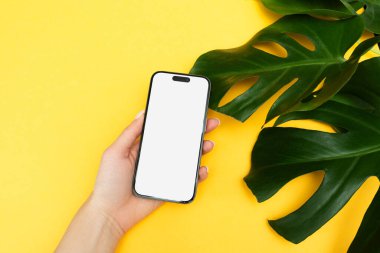 Beyaz, boş ekranlı, sarı arkaplanda canavar yaprağı olan bir kadın eliyle telefon görüntüsü.