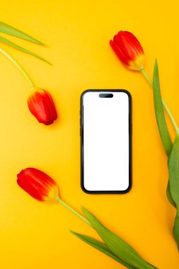 Sarı arkaplanda beyaz ekranlı, kırmızı laleli, reklam için düzenlenmiş, metin için kopyalama alanı olan telefon.