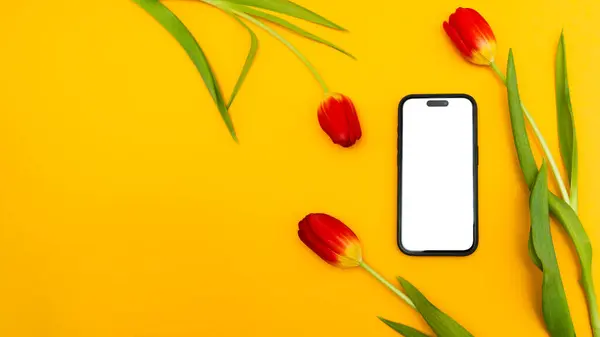Sarı arkaplanda beyaz ekranlı, kırmızı laleli, reklam için düzenlenmiş, metin için kopyalama alanı olan telefon.