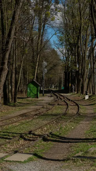 Yeşil kulübesi, bahar ağaçları ve mavi gökyüzü olan ormanlık bir park bölgesinde tren yolu kıvrımları var..