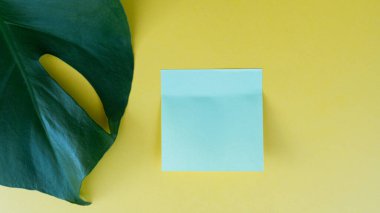 Mavi yapışkan bir nota ve parlak sarı arka planda büyük yeşil bir yaprak içeren minimalist bir resim. Yaratıcı, ofis ve doğa temalı izole tasarım kavramları için mükemmel..