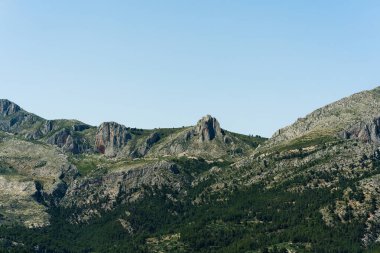 Rocky dağları, yeşil orman, mavi gökyüzü, doğal manzara, açık hava manzarası. Çevre veya turizm projelerinde seyahat, macera ve doğa geçmişi için ideal.