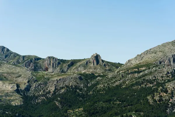 Rocky dağları, yeşil orman, mavi gökyüzü, doğal manzara, açık hava manzarası. Çevre veya turizm projelerinde seyahat, macera ve doğa geçmişi için ideal.