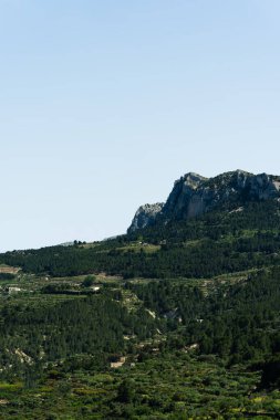 Yeşil ormanlı doğal dağ manzarası. Dijital ya da yazdırma projelerinde doğa, seyahat ve peyzaj için kullanışlı.