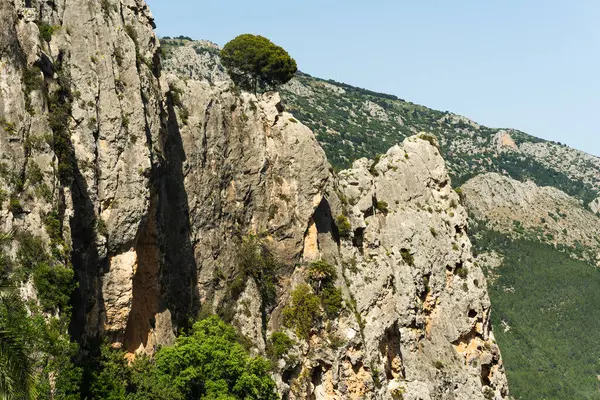 Kayalık arazili doğal dağ manzarası. Doğa, seyahat veya jeolojiyle ilgili içerik ve arkaplanlar için uygun görüntü.