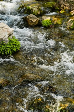 Doğal akarsu kayalık yüzey üzerinde akar. Web veya yazıcıda doğa, çevre ve manzara kavramları için uygun resim.