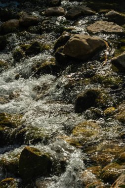 Doğal akış suyu pürüzsüz kayaların üzerinden akar. Bu resim doğa, çevre veya rahatlama kavramları için uygundur..