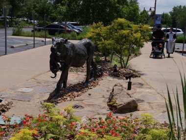 St. Louis, Missouri - 21 Haziran 2023: St. Louis - İnanılmaz Serbest Hayvanat Bahçesi