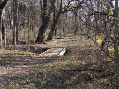 Ortabatı Kansas yürüyüş yolu sonbaharda