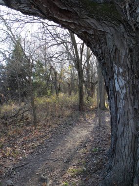 Ortabatı Kansas yürüyüş yolu sonbaharda