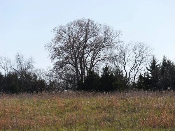 Ortabatı Kansas yürüyüş yolu sonbaharda