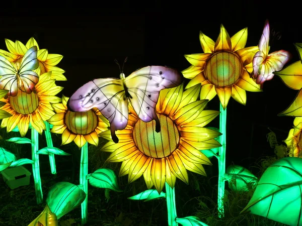 Kansas City, Missouri - 14 Aralık 2023 Kansas Hayvanat Bahçesinde Glowild Christmas Işıkları