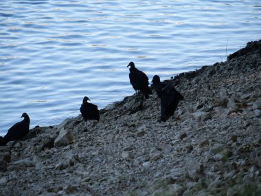 Lakeside, Missouri - 23 Haziran 2024: Ozarks Gölü yakınlarındaki Bagnell Barajı