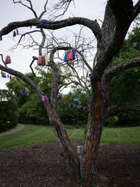 Overland Park, Kansas - 10 Ağustos 2024: Overland Park botanik bahçesi serin bulutlu bir yaz gününde