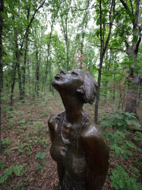 Overland Park, Kansas - 10 Ağustos 2024: Overland Park botanik bahçesi serin bulutlu bir yaz gününde