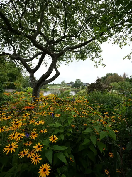 stock image Overland Park, Kansas - August 10, 2024: Overland Park Arboretum on a Cool Cloudy Summer Day