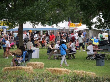 Kansas City, Missouri - 18 Ağustos 2024: Swope Park 'ta KC Etnik Zenginleştirme Festivali