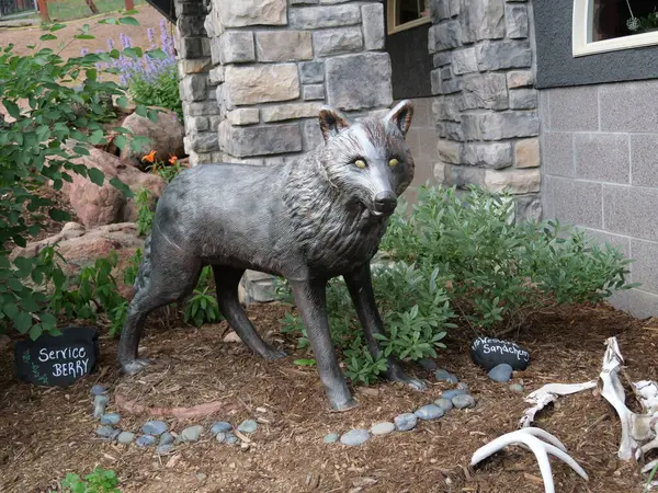 stock image Divide, Colorado - August 4, 2024: Colorado Wolf and Wildlife Center in Teller County, CO