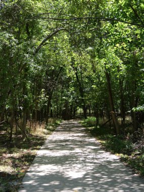 Olathe, Kansas - 1 Eylül 2024 Ernie Miller Doğa Merkezi Kamu Parkı 'nda Güneşli Gün