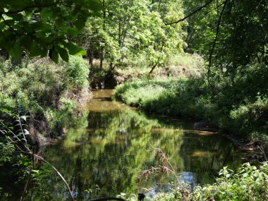 Olathe, Kansas - 1 Eylül 2024 Ernie Miller Doğa Merkezi Kamu Parkı 'nda Güneşli Gün