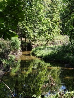 Olathe, Kansas - 1 Eylül 2024 Ernie Miller Doğa Merkezi Kamu Parkı 'nda Güneşli Gün