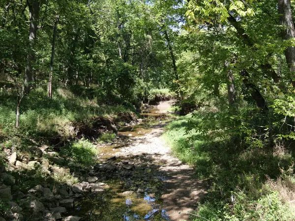 stock image Olathe, Kansas - September 1, 2024: Sunny Day at Ernie Miller Nature Center Public Park