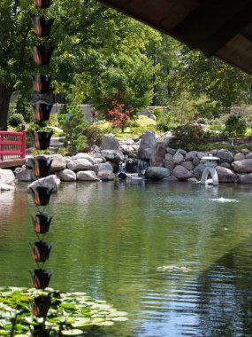 Topeka, Kansas - 2 Eylül 2024: Hayvanat Bahçesinde Güzel Güneşli Sonbahar Havası