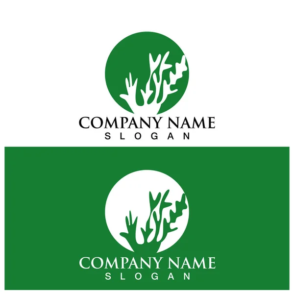 Seaweed Icon Vector Logo Ilustration — Vetor de Stock
