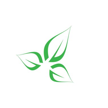 leaf nature icon vector illustration template design