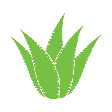 aloe vera icon vector illustration template design
