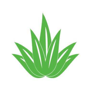 aloe vera icon vector illustration template design