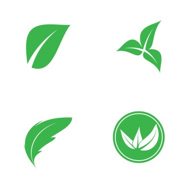 Yaprak ekolojisi ikonu vektör illüstrasyon şablonu tasarımı