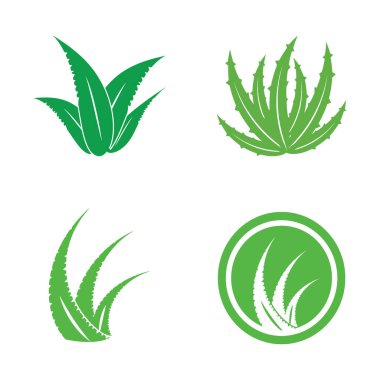 aloe vera icon vector illustration template design
