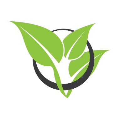 leaf nature icon vector illustration template design