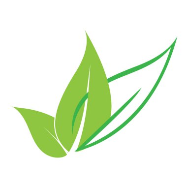 leaf nature icon vector illustration template design