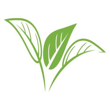 leaf nature icon vector illustration template design