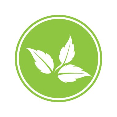 leaf nature icon vector illustration template design
