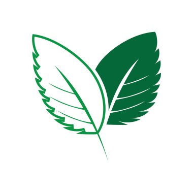 leaf nature icon vector illustration template design