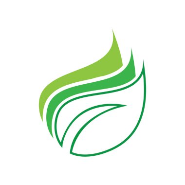 leaf nature icon vector illustration template design