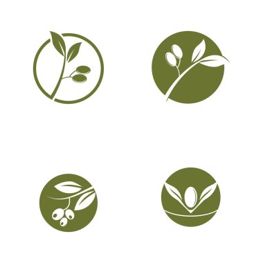 Zeytin yağı logo yaprağı vektörü
