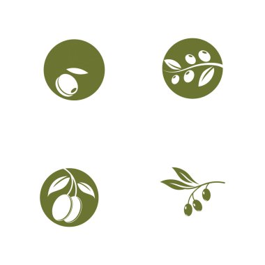 Zeytin yağı logo yaprağı vektörü