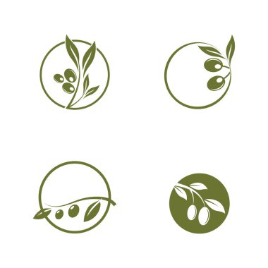 Zeytin yağı logo yaprağı vektörü