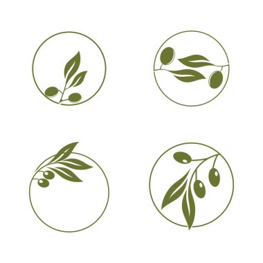Zeytin yağı logo yaprağı vektörü