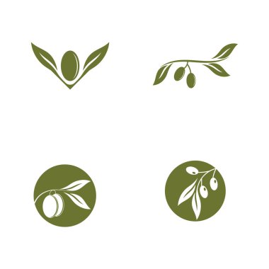 Zeytin yağı logo yaprağı vektörü