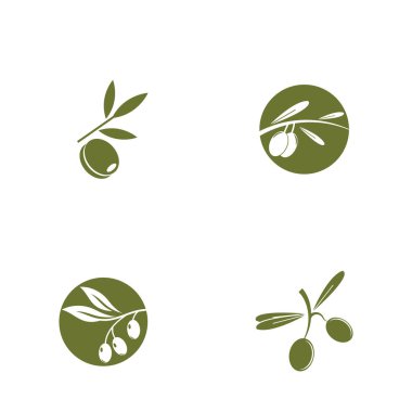 Zeytin yağı logo yaprağı vektörü