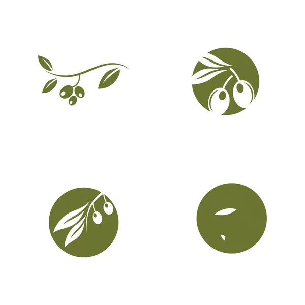 Huile Olive Logo Feuille Vecteur — Image vectorielle