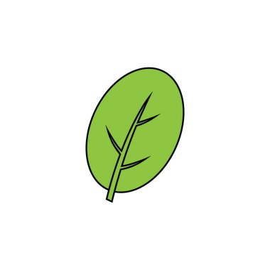 moringa leaf tradicional medicine icon vector illustration template design