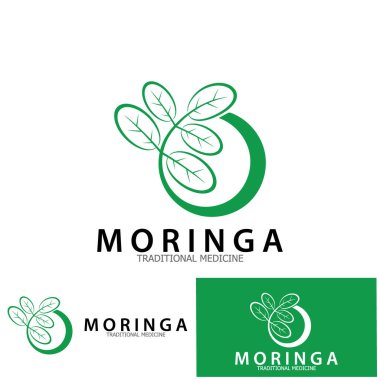 moringa leaf tradicional medicine icon vector illustration template design